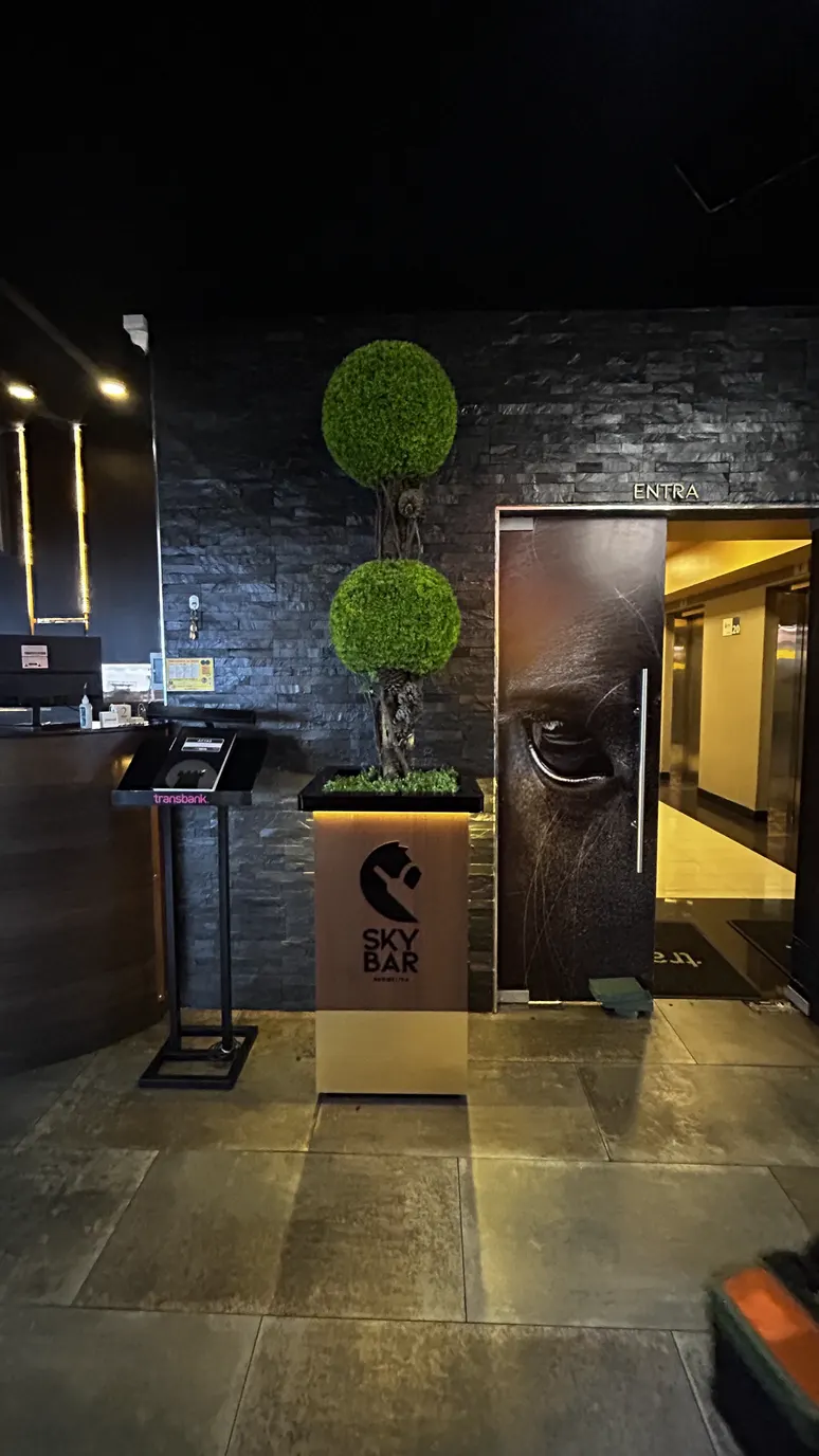 SKY BAR — obra 3 de 8