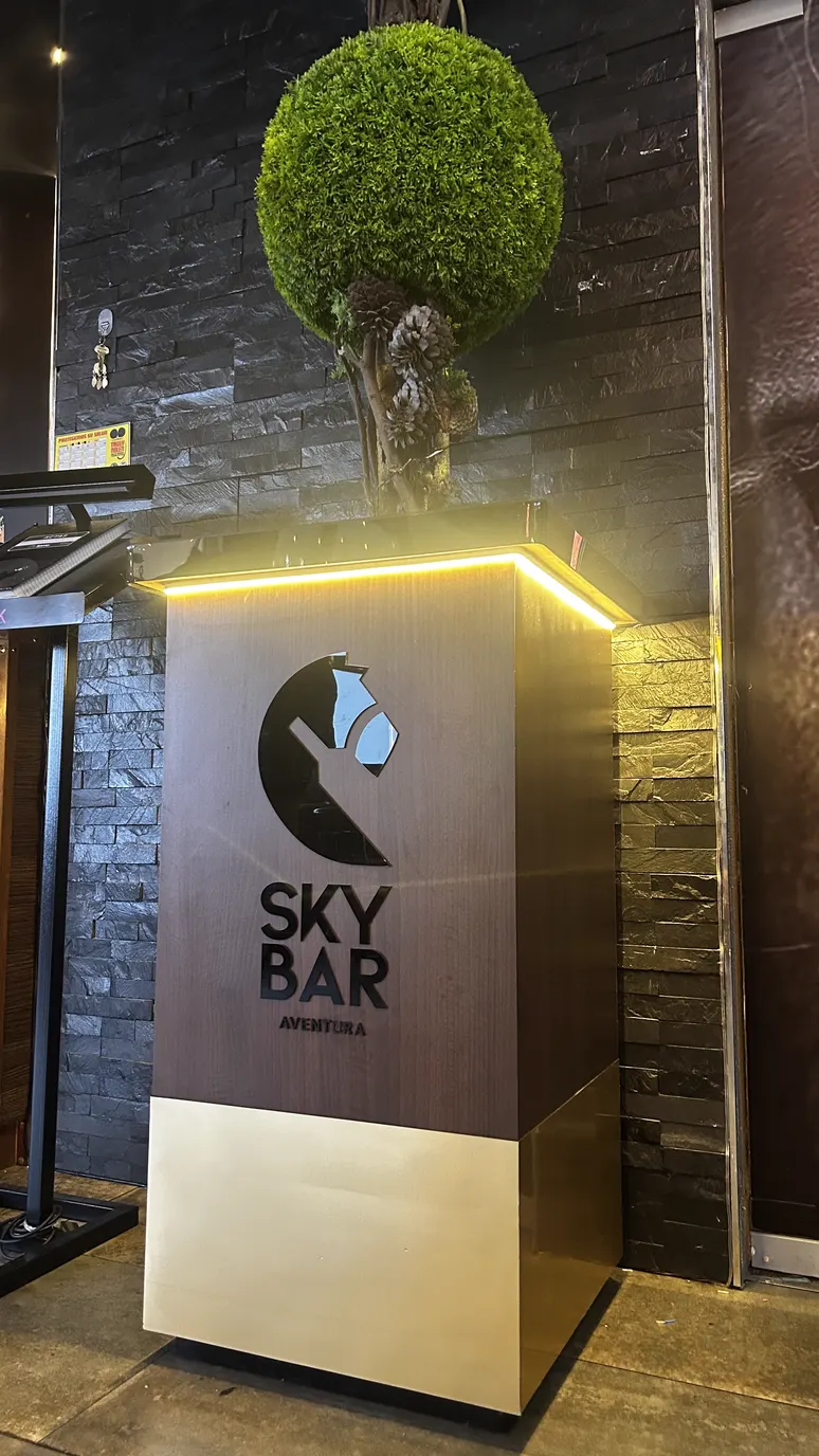 SKY BAR — obra 4 de 8