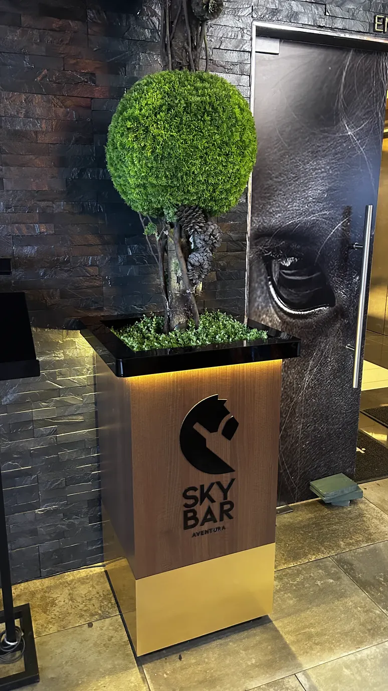 SKY BAR